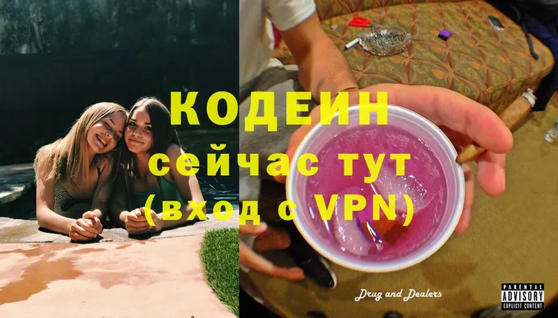 мега маркетплейс  купить   Кинель  Codein Purple Drank 